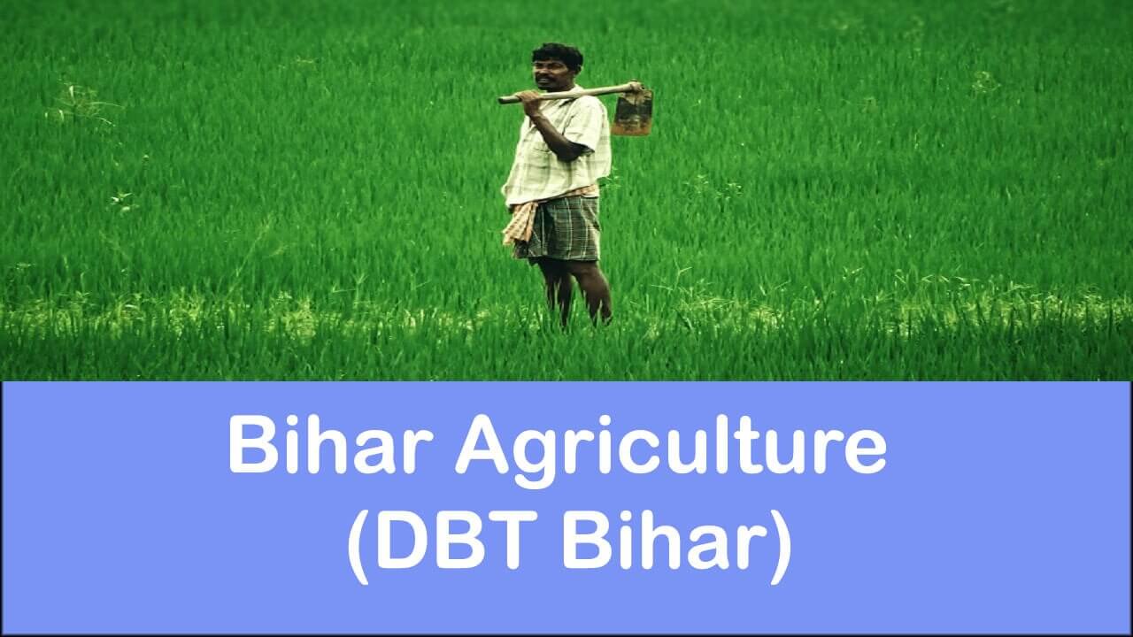 DBT बिहार एग्रीकल्चर: स्टेटस तथा रजिस्ट्रेशन। Dbtagriculture.bihar.gov.in